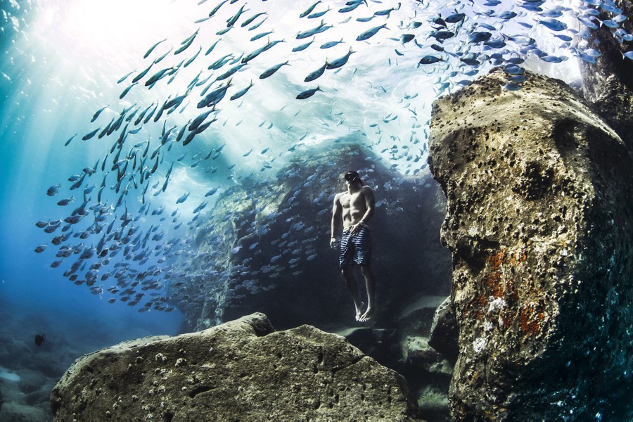 A man floats underwater, among a large group of fish.