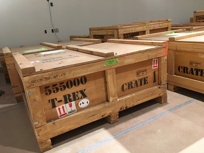 A set of crates with T-REX stamped on their sides.