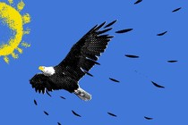 An illustration of an eagle shedding feathers soars towards the sun.