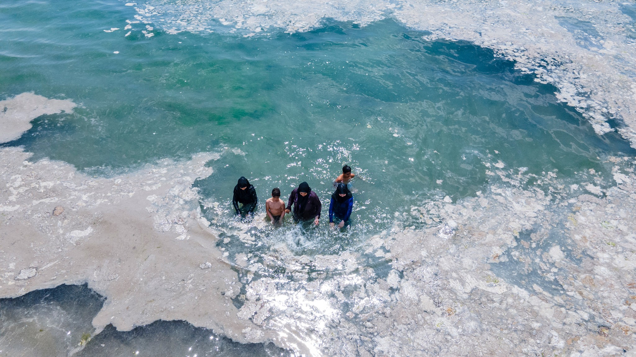 The Most Disgusting Symptom of Climate Change Sea Snot The Atlantic