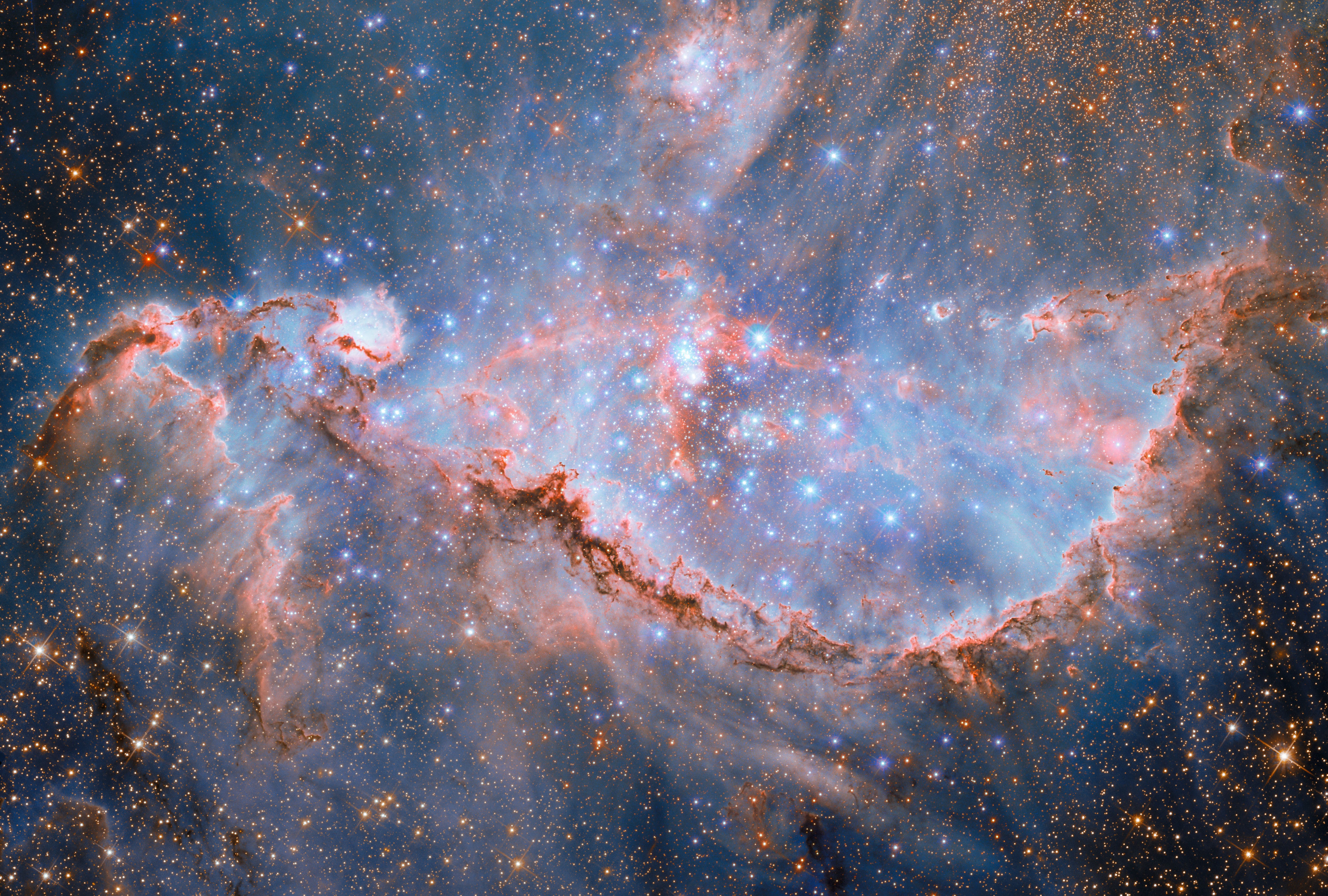 Dozens of bright blue stars are seen among a cloud-like ribbon of gas and dust in a distant nebula.