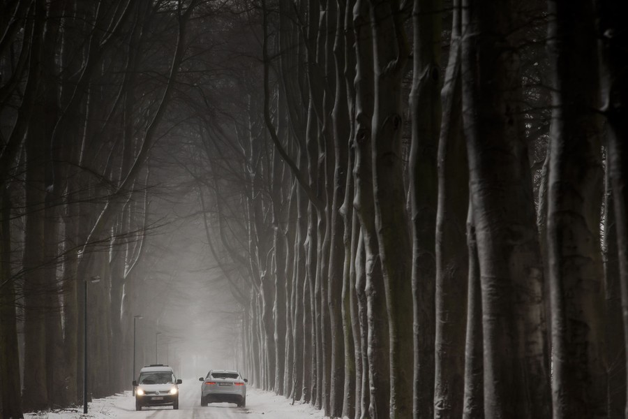 Cars drive down a snowy road past long stands of trees.