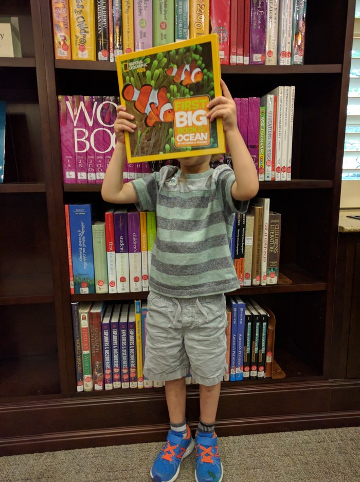 Our Towns A Portrait of Public Libraries The Atlantic