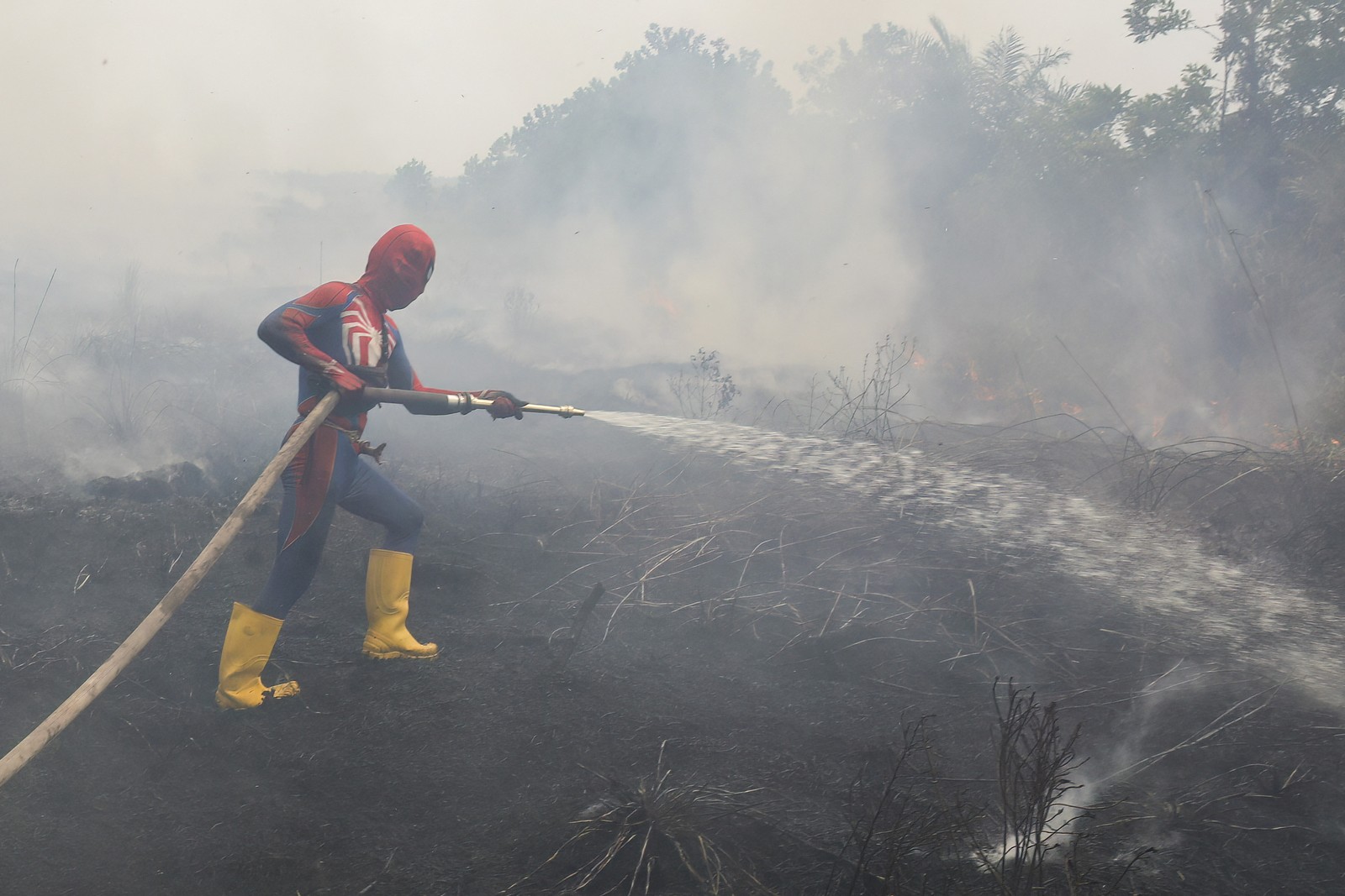 A person wearing a Spider-Man costume extinguishes a wildfire with a hose.