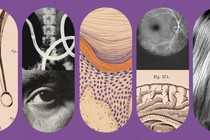 A collage of tablet-shaped illustrations of health-related imagery like cells, x-rays, and medical drawings, all against a purple background.