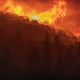 Wildfires