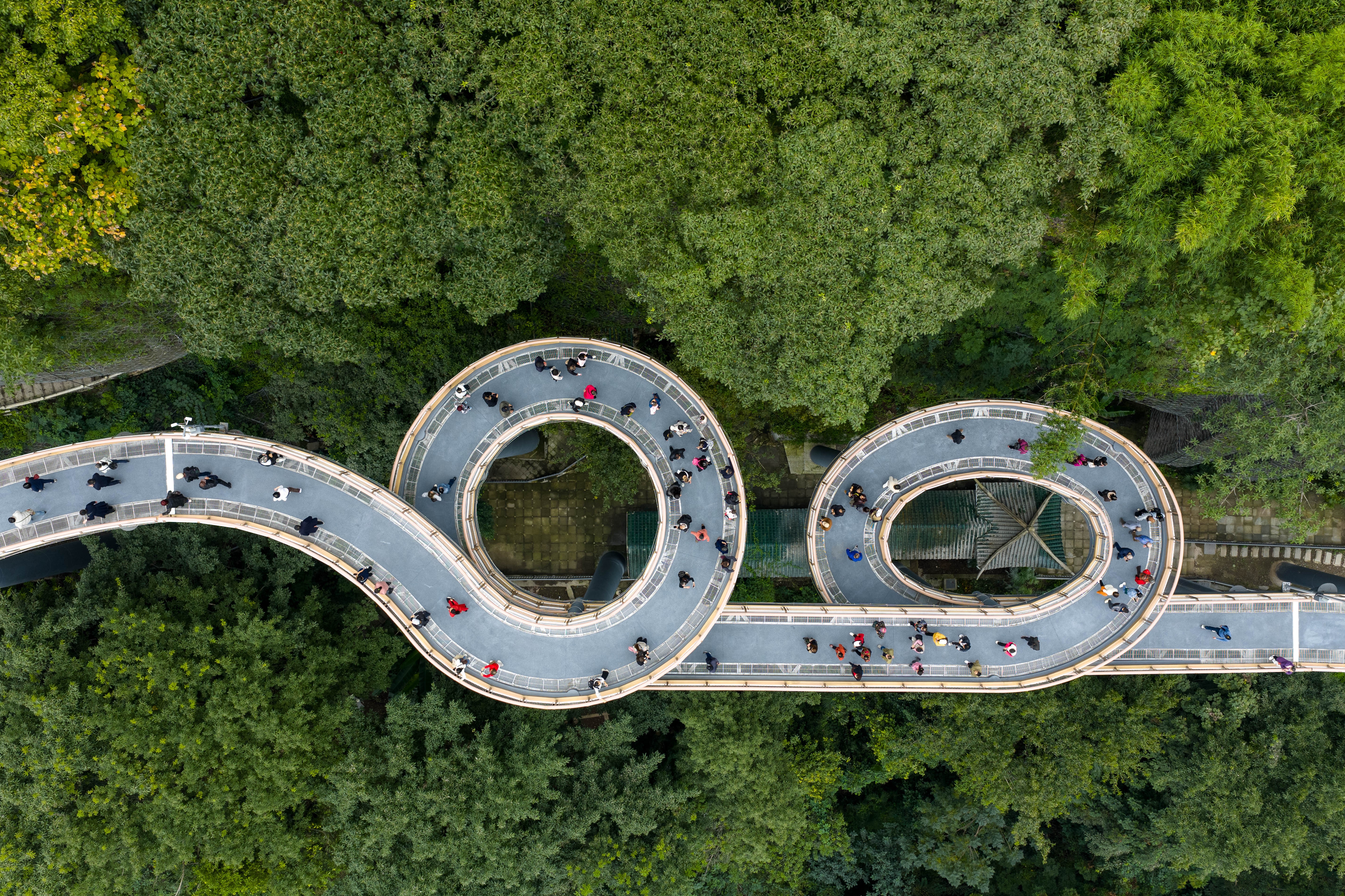 An aerial view of people walking on a raised footpath that makes several looping twists.