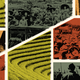 collage of images depicting land reform in China