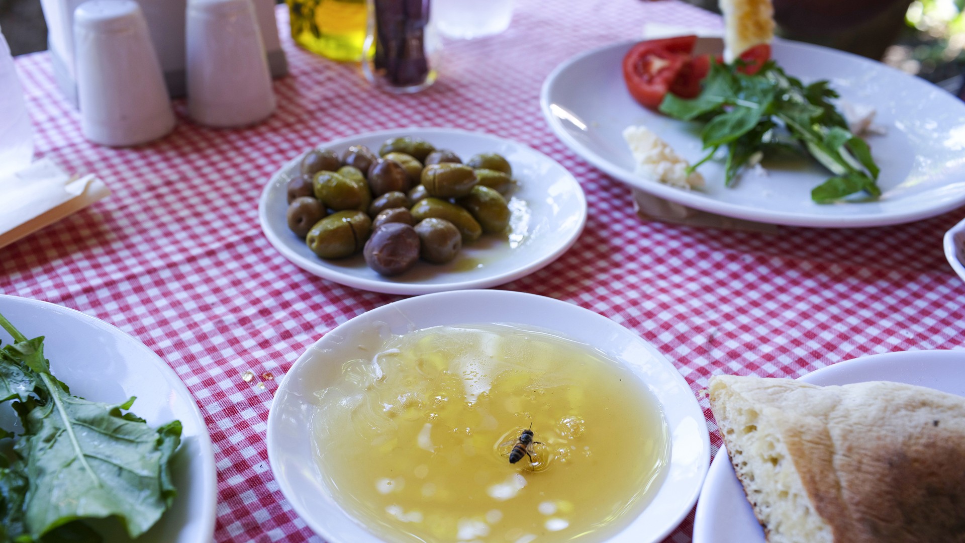 Turkey's Honey Apocalypse Is a Warning to the World - The Atlantic
