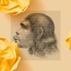 A pencil-drawn illustration shows the profile of a Neanderthal.
