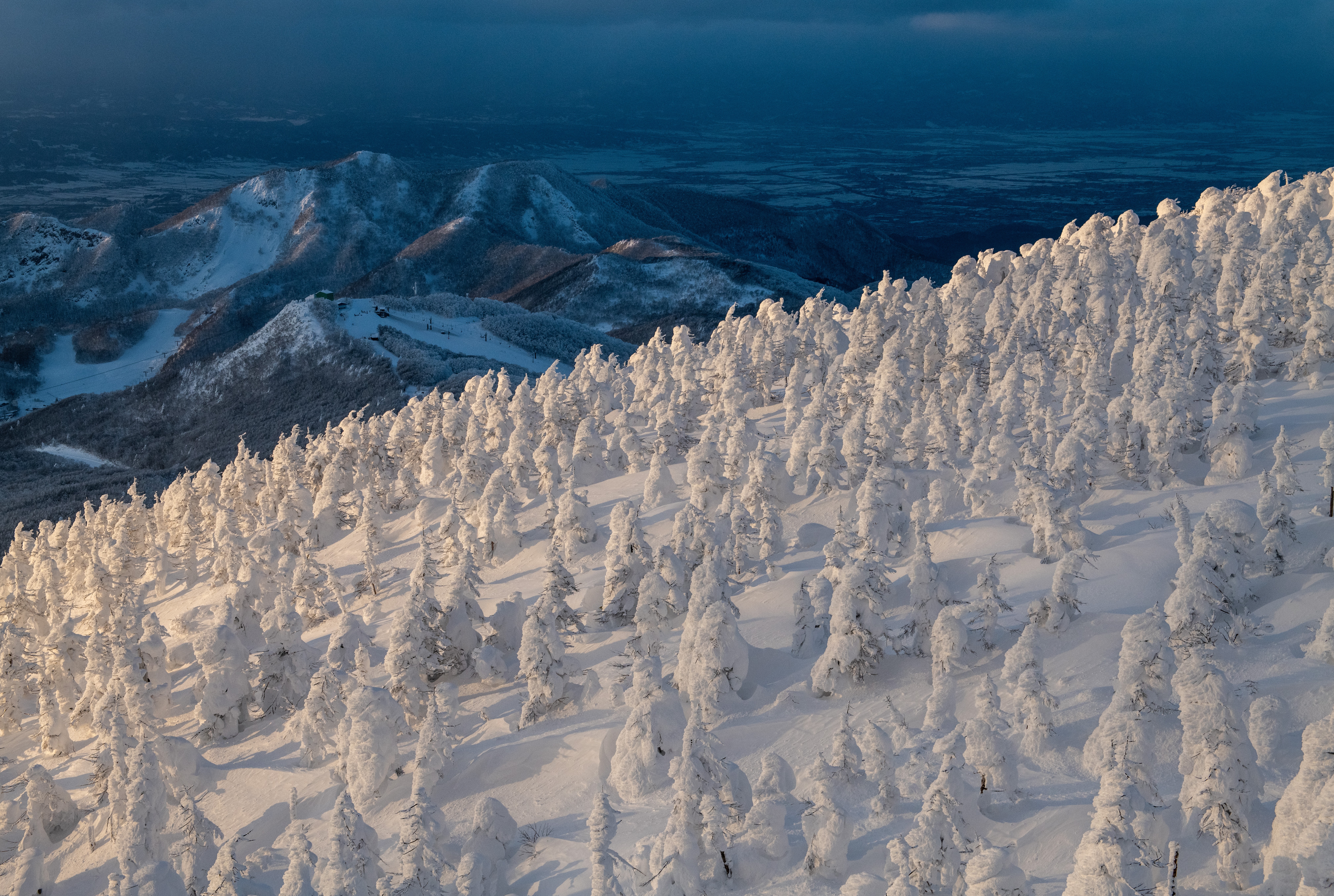 Snow-covered trees cover the slopes of a mountain.