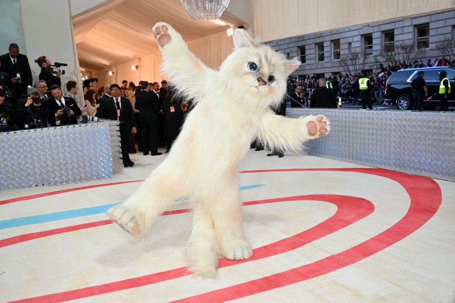 An actor poses for photographers, wearing a full-body cat costume.
