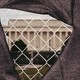 a view of the Lincoln Memorial through a construction fence