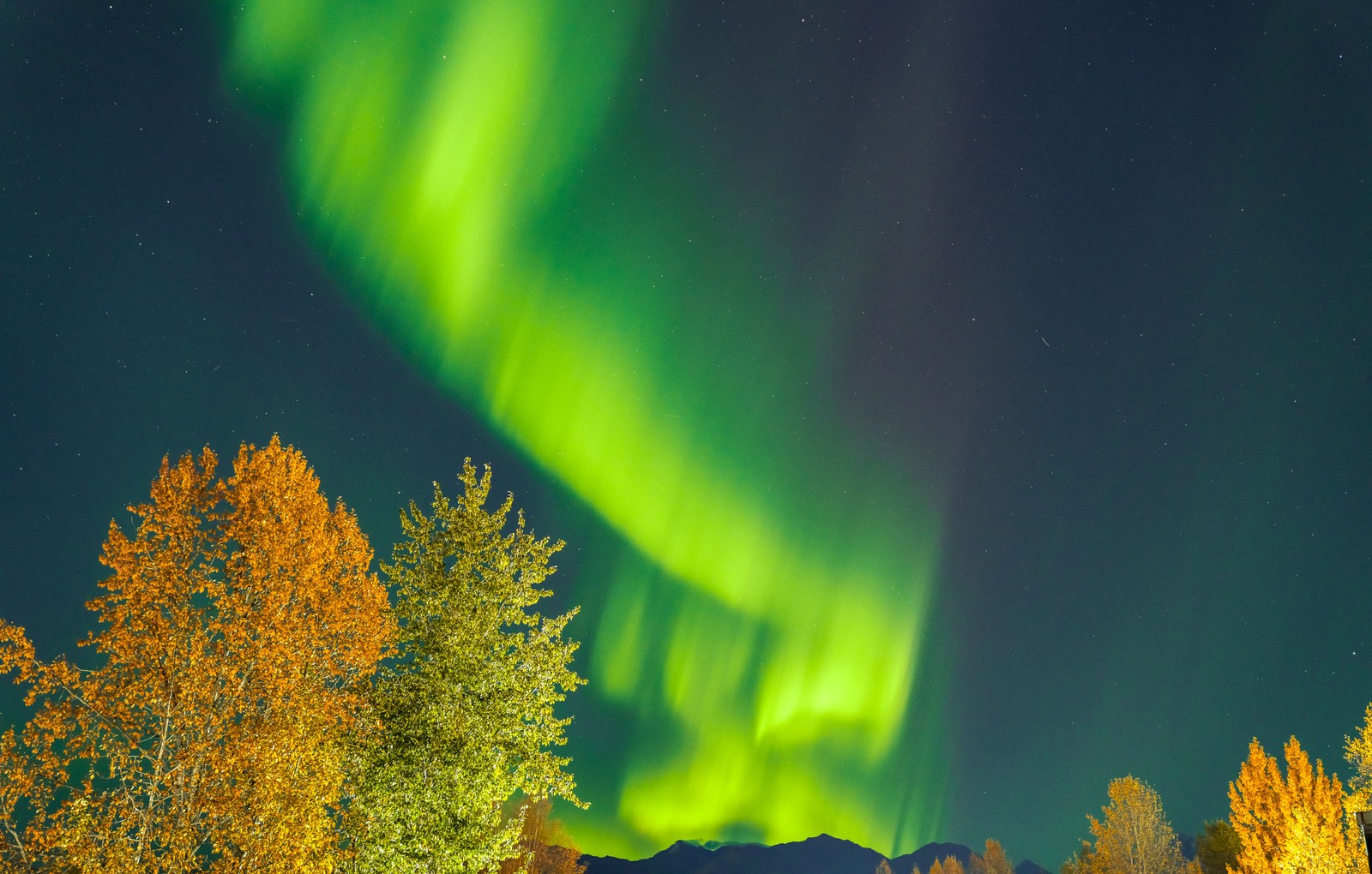 The northern lights form a shimmering green ribbon in the sky above autumn-colored trees.