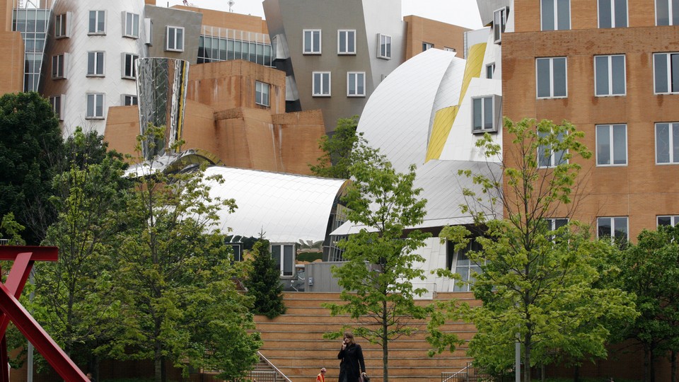 A woman walks through the MIT campus