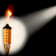 A tiki torch with a spotlight on it
