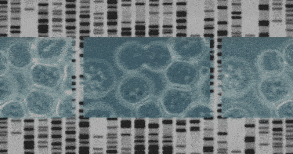 Doctors Thought They Knew What a Genetic Disease Is. They Were Wrong.