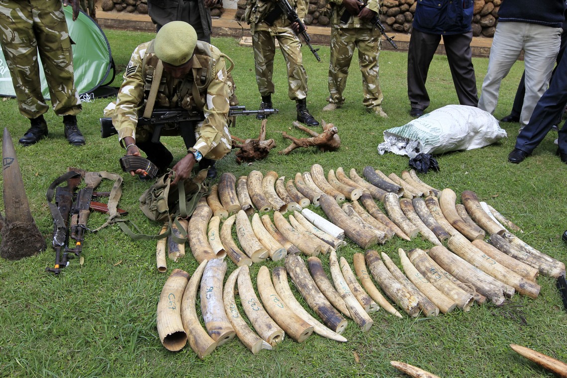 Can You Wage a War on Poaching? - The Atlantic