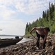 A photograph of two men digging for fossils along the Alaskan Yukon River, with a boat docked behind them