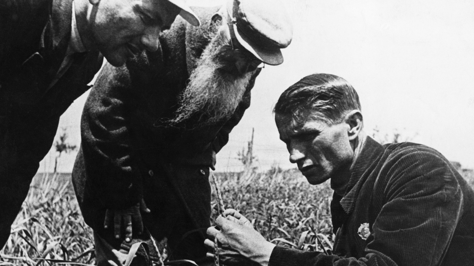 Trofim Lysenko The Soviet Era S Deadliest Scientist Is Regaining Popularity In Russia The Atlantic