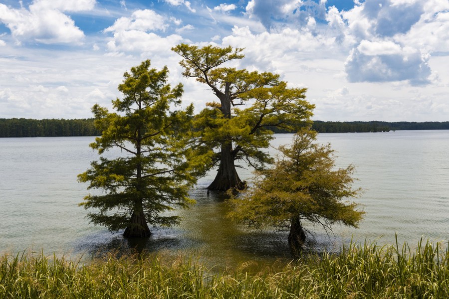 Mississippi Images of the Magnolia State The Atlantic
