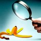 Illustration showing a hand holding a magnifying glass pointed at a banana peel on the floor (the kind that could cause someone to slip)