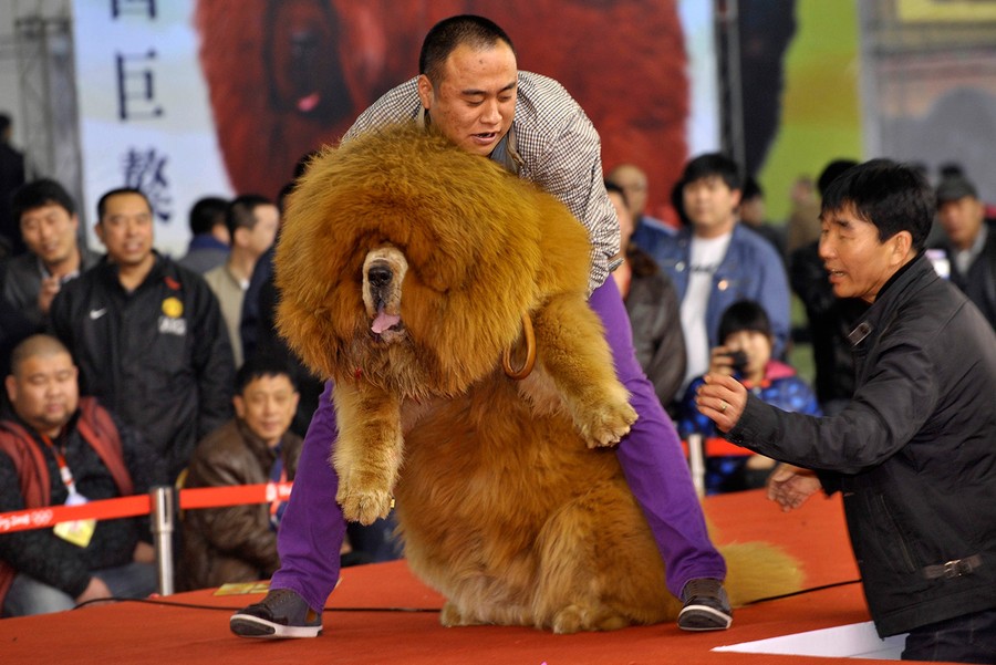 A Look Inside China - The Atlantic