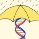 an illustration of an umbrella held up by a DNA helix
