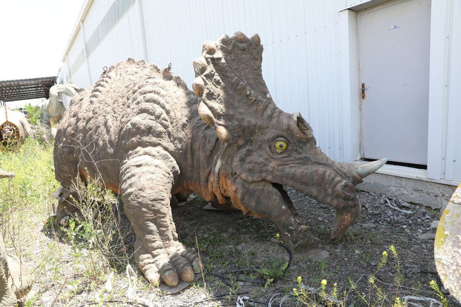A broken-down triceratops model sits in a scrapyard.