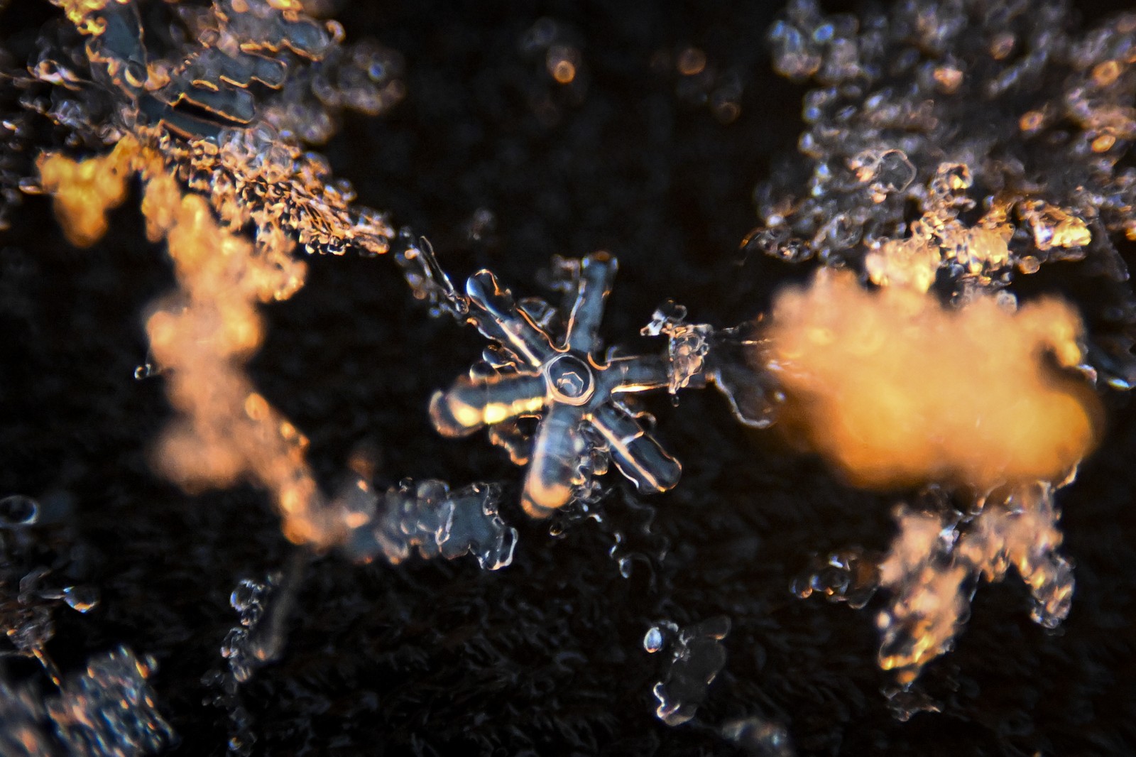 Snowflakes, seen up close