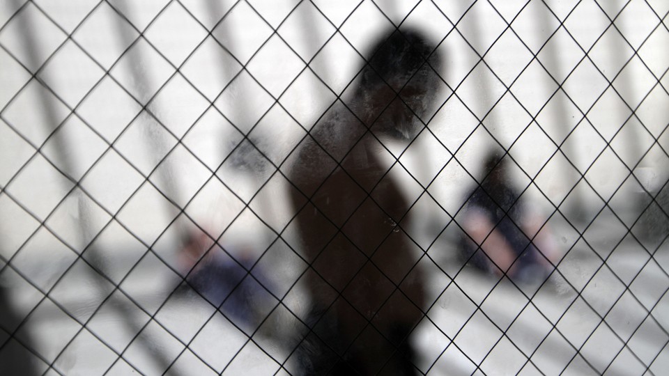 A silhouette behind chain link
