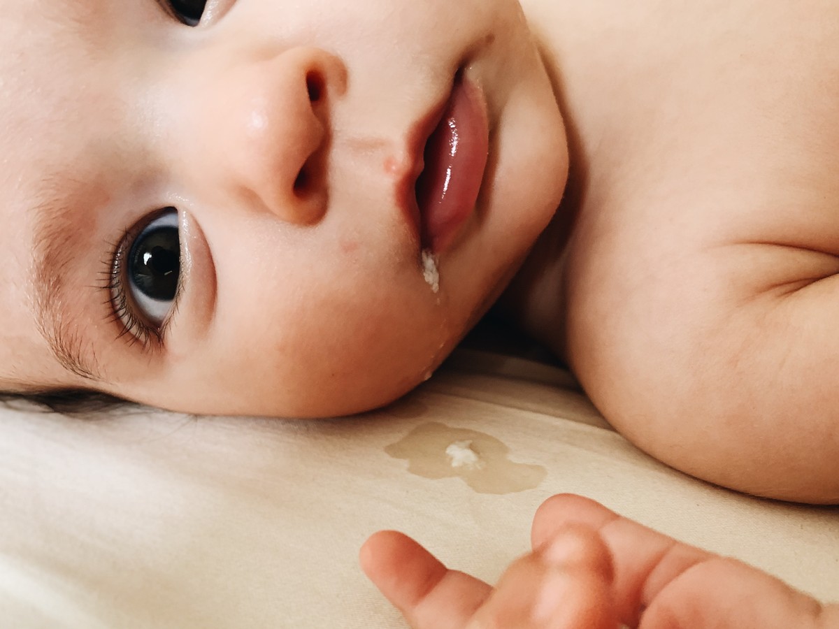 A Poem By Dorianne Laux Life On Earth The Atlantic