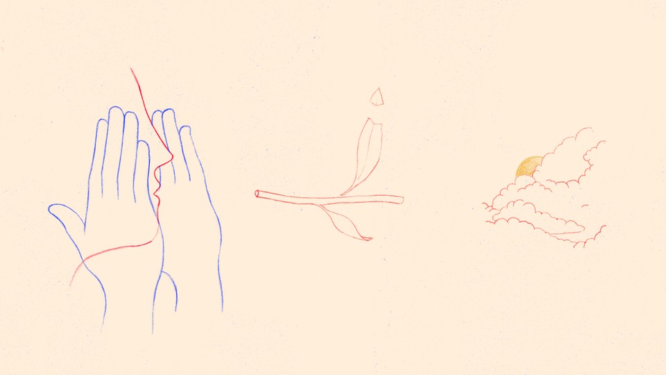 Illustrations of a face with hands around its mouth, calling out; a leaf with a fractured tip; and a sun behind clouds