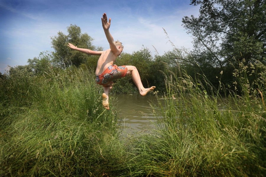 Photos of the Week Tomato Fight, Kazoo Ensemble, Office Moose The