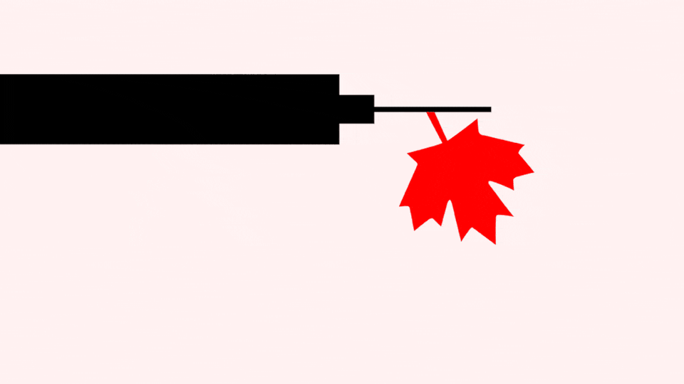Illustration of a syringe with a maple leaf falling from it