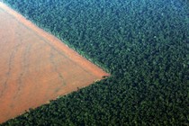 Deforested land in Brazil