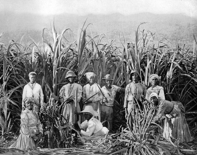 A black and white image of workers standing in a field
