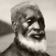 A portrait illustration of Josiah Henson with a coast behind