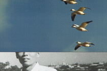 Graphic illustration with photo of birds flying in blue sky over black-and-white photo of lower part of man's face with city view in background