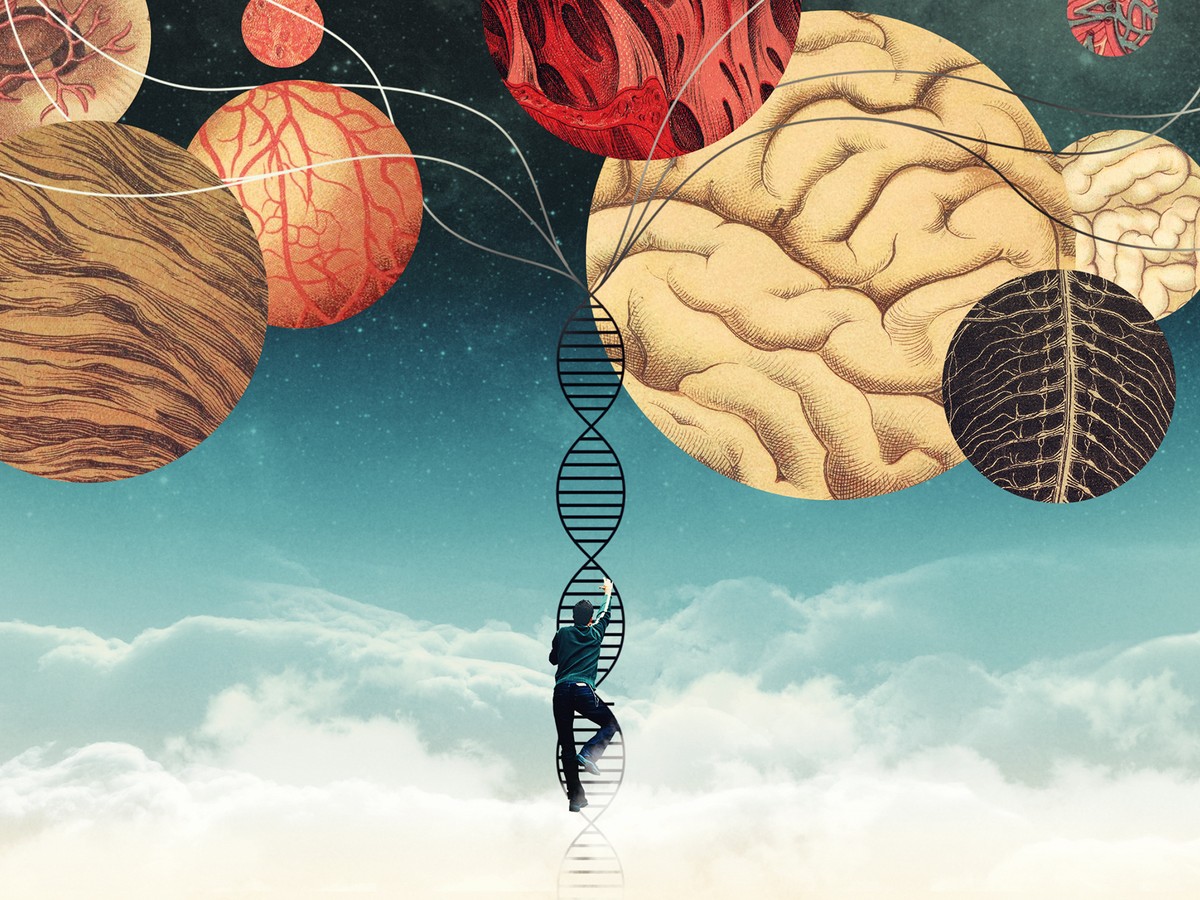 The Science of Genes and Heredity Is Constantly Changing - The Atlantic