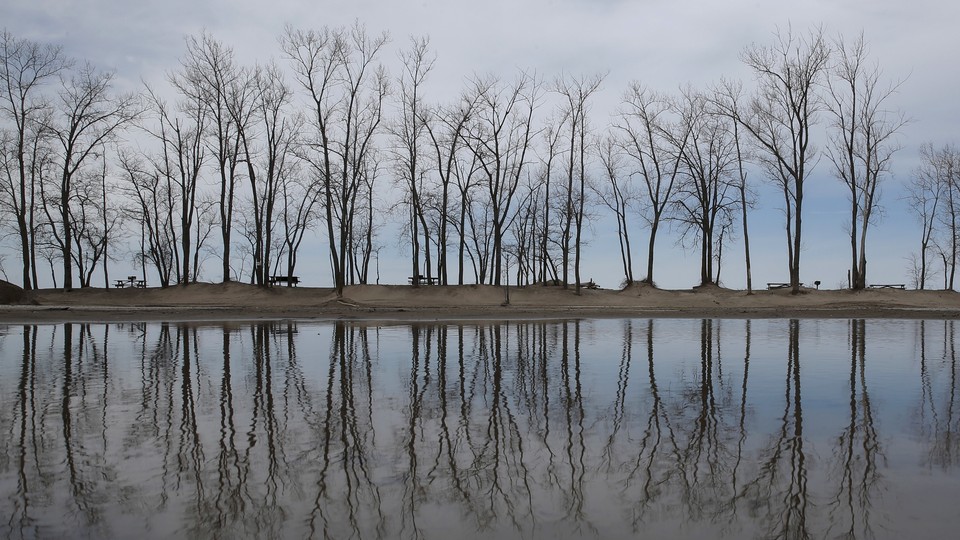 Trees are reflected in a puddle at Presque Isle State Park in Erie, Pennsylvania.