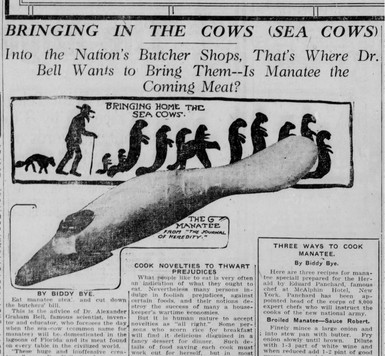 The Augusta Herald.jpg