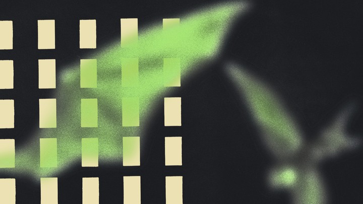 abstract illustration with bat wing and swallow