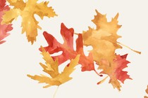 Watercolor leaves in yellow and red