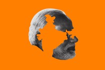 A silhouette of Narendra Modi on an orange background has the shape of the map of India carved out of it.