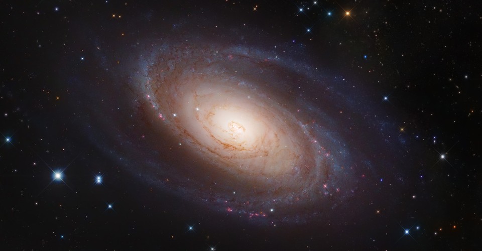 Galactic Evolution and the Meaning of Life The Atlantic