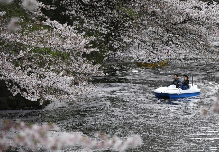 Signs of Spring - The Atlantic