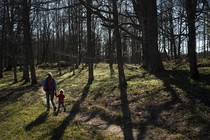 A mother and her child hold hands in a park.