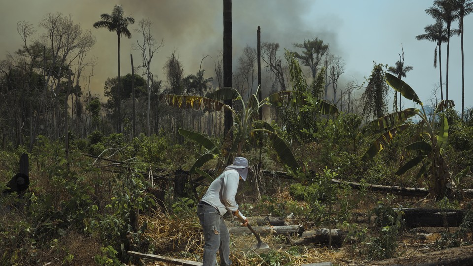A person stands in a burning forest.