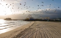 An empty beach with birds flying around